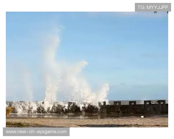 冲浪青年赛选手分享“与浪共舞”训练笔记成教材 冲浪青年赛选手分享“与浪共舞”训练笔记成教材